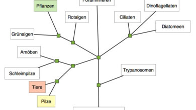 system engineer jobs