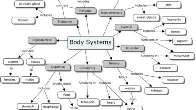systems biology